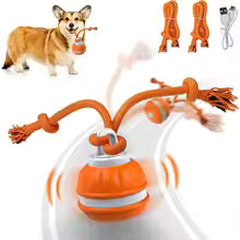 SupplyWave™ Pet Interactive Ball Toy